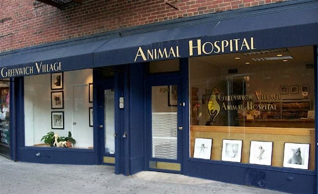 <span>Greenwich Village Animal Hospital</span>
logo