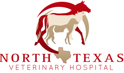 <span>North Texas Veterinary Hospital</span>
 logo