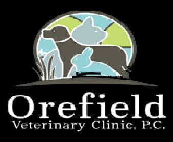 <span>Orefield Veterinary Clinic</span>
logo