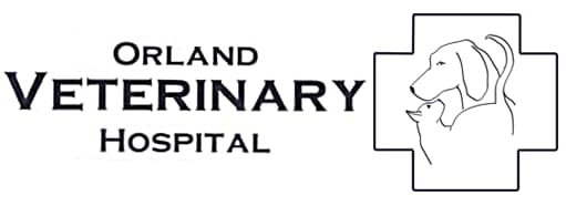 <span> Orland Veterinary Hospital</span>
logo