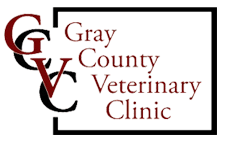 <span>Gray County Veterinary Clinic</span>
logo