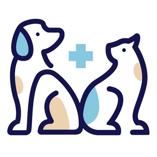 <span>Casco Bay Veterinary Hospital</span>
logo