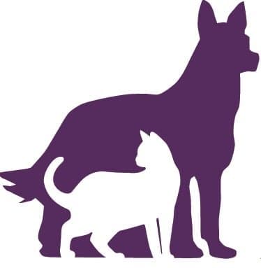 <span>Reading Animal Clinic</span>
logo