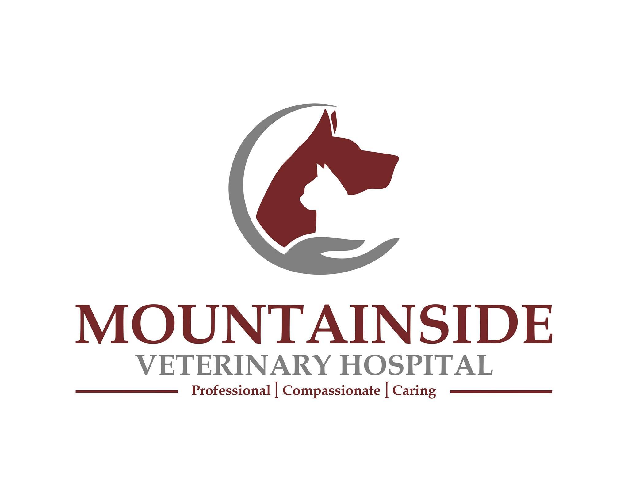 <span>Mountainside Veterinary Hospital</span>
logo