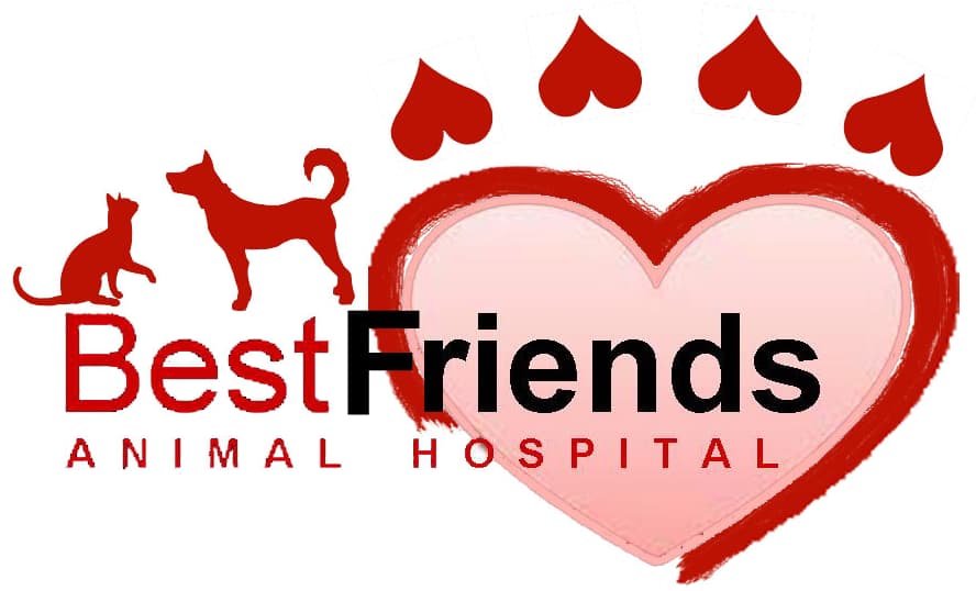 <span>Best Friends Animal Hospital</span>
logo