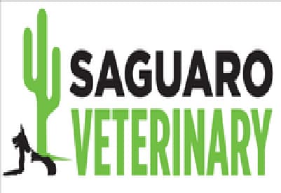 <span>Saguaro Veterinary Clinic</span>
logo