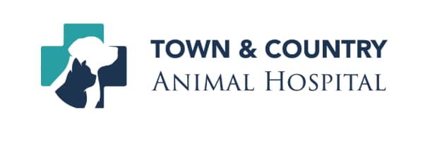 <span>Town & Country Animal Hospital</span>
 logo