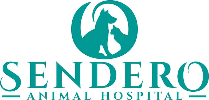<span>Sendero Animal Hospital</span>
logo