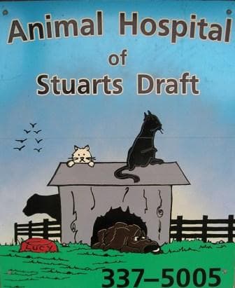 <span>Animal Hospital of Stuarts Draft</span>
logo