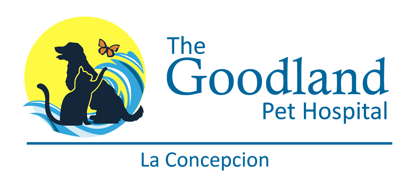 <span>The Goodland Pet Hospital - La Concepcion</span>
logo