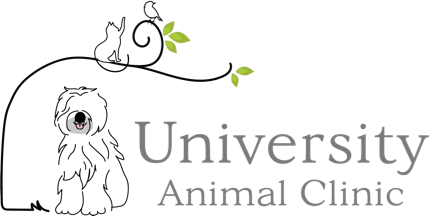 <span>University Animal Clinic</span>
logo