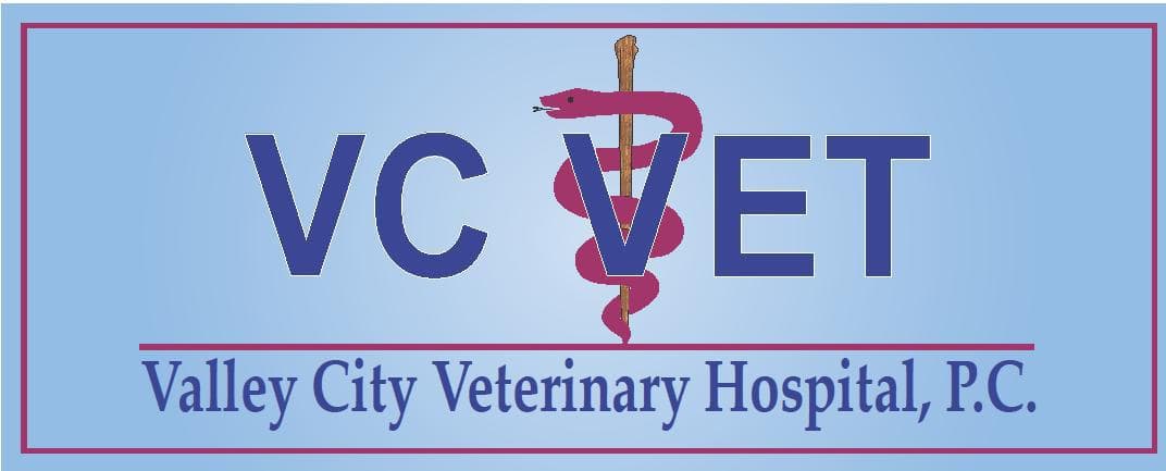 <span>Valley City Veterinary Hospital</span>
logo