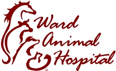 <span>Ward Animal Hospital</span>
logo