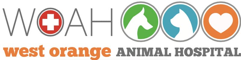<span>West Orange Animal Hospital</span>
logo