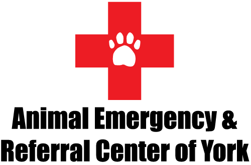 <span>Animal Emergency & Referral Center of York</span>
logo