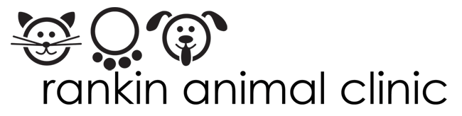 <span>Rankin Animal Clinic</span>
logo