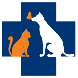 <span>Old Pueblo Veterinary Clinic</span>
 logo