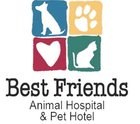 <span>Best Friends Animal Hopsital & Pet Hotel</span>
logo