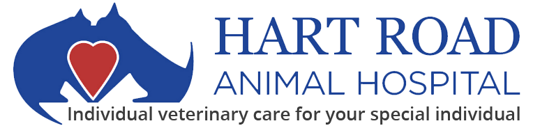 <span>Hart Road Animal Hospital</span>
logo