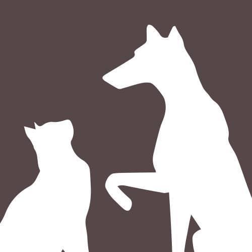<span>Belton Small Animal Clinic</span>
logo