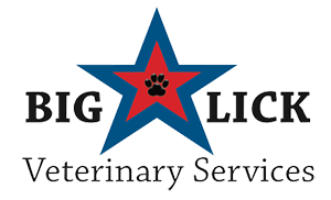 <span>Big Lick Veterinary Services</span>
logo