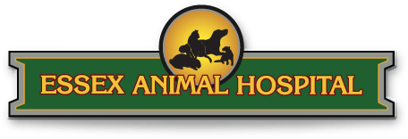 <span>Essex Animal Hospital</span>
logo