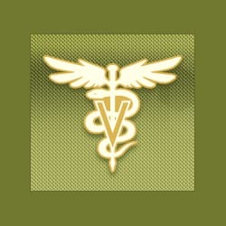 <span>Bloomington Veterinary Hospital</span>
logo
