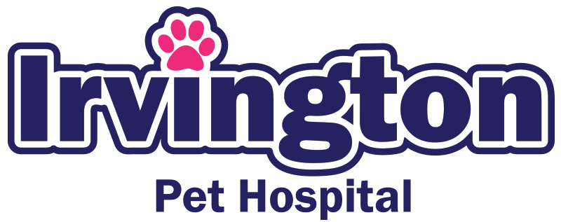 <span>Irvington Pet Hospital</span>
logo
