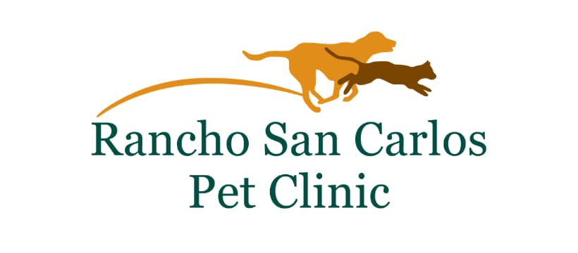 <span>Rancho San Carlos Pet Clinic</span>
logo
