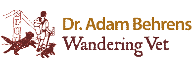 <span>Wandering Vet</span>
logo