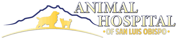 <span>Animal Hospital of San Luis Obispo</span>
logo