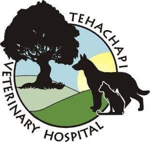 <span>Tehachapi Veterinary Hospital</span>
logo