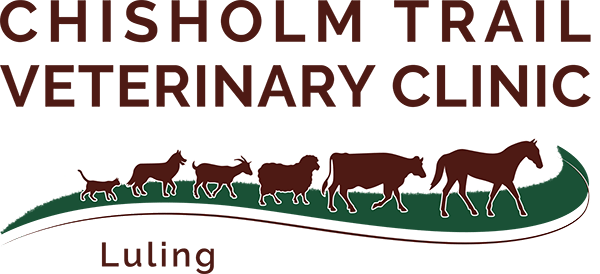 <span>Chisholm Trail Veterinary Clinic - Luling</span>
logo