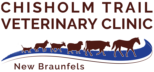 <span>Chisholm Trail Veterinary Clinic - New Braunfels</span>
logo