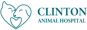 

<!-- THEME DEBUG -->
<!-- THEME HOOK: 'field' -->
<!-- FILE NAME SUGGESTIONS:
   * field--node--title--listing.html.twig
   x field--node--title.html.twig
   * field--node--listing.html.twig
   * field--title.html.twig
   * field--string.html.twig
   * field.html.twig
-->
<!-- BEGIN OUTPUT from 'core/themes/stable/templates/field/field--node--title.html.twig' -->
<span>Clinton Animal Hospital</span>

<!-- END OUTPUT from 'core/themes/stable/templates/field/field--node--title.html.twig' -->

 logo