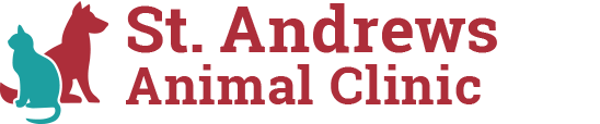 <span>Saint Andrews Animal Clinic</span>
 logo