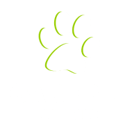 <span>Care Pet Clinic</span>
logo