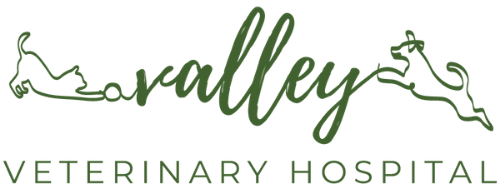 <span>Valley Veterinary Hospital</span>
logo