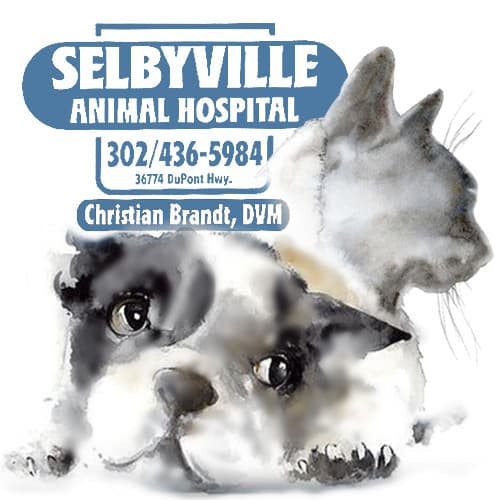 <span>Crossroads Veterinary Clinic</span>
logo