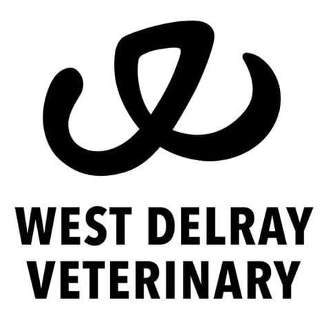 <span>West Delray Veterinary</span>
logo