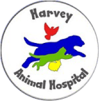 <span>Harvey Animal Hospital</span>
logo