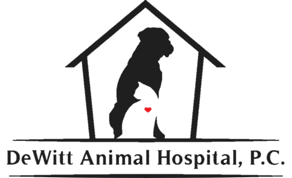 <span>DeWitt Animal Hospital</span>
logo