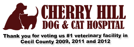 <span>Cherry Hill Dog & Cat Hospital</span>
logo