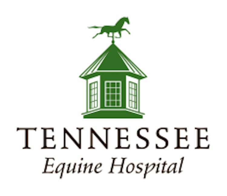 <span>Tennessee Equine Hospital - South</span>
 logo