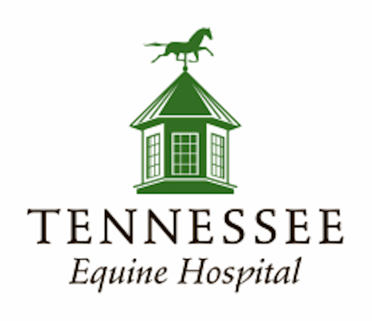 <span>Tennessee Equine Hospital</span>
logo