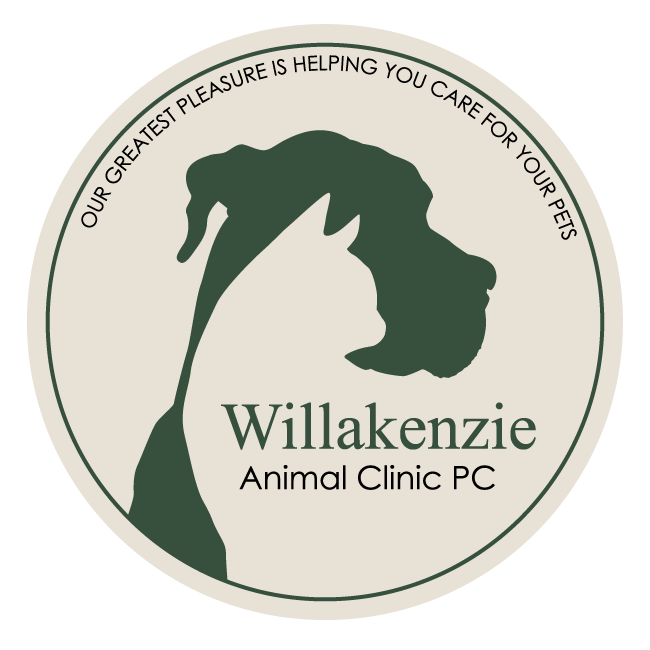 <span>Willakenzie Animal Clinic</span>
 logo