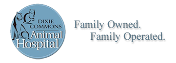 <span>Dixie Commons Animal Hospital</span>
logo