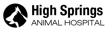 <span>High Springs Animal Hospital</span>
logo
