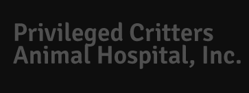 <span>Privileged Critters Animal Hospital</span>
 logo