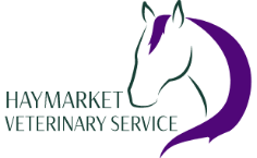 <span>Haymarket Equine Veterinary Service</span>
 logo